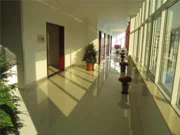 企業(yè)風(fēng)貌 企業(yè)風(fēng)貌